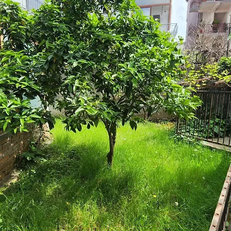 Apartament Kalpazo Aviation Tirana
