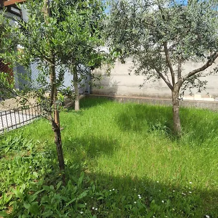 Kalpazo Rental Vila 313 Tirana טיראנה