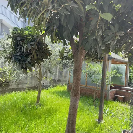 דירה Kalpazo Rental Vila 313 Tirana