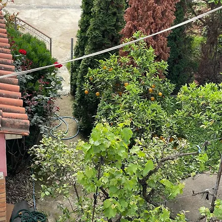 Kalpazo Rental Vila 313 Tirana דירה *