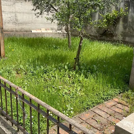 Kalpazo Tirana Vila 313