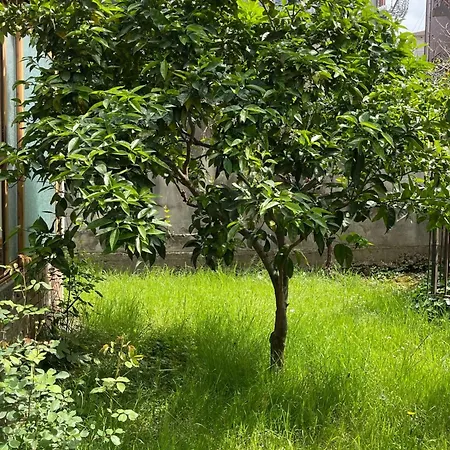 Apartament Kalpazo Aviation