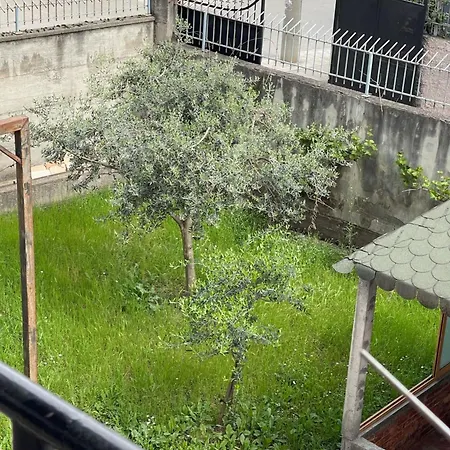 Kalpazo Tirana Vila 313
