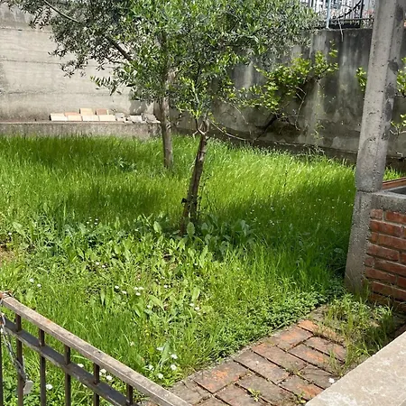 Kalpazo Tirana Vila 313 *