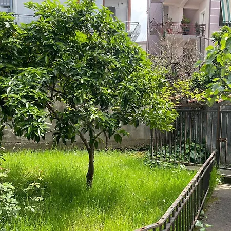 Kalpazo Tirana Vila 313 Appartement Tirana