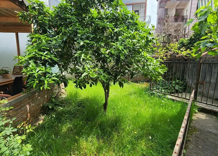 Apartman Kalpazo Rental Vila 313 Tirana Tirana
