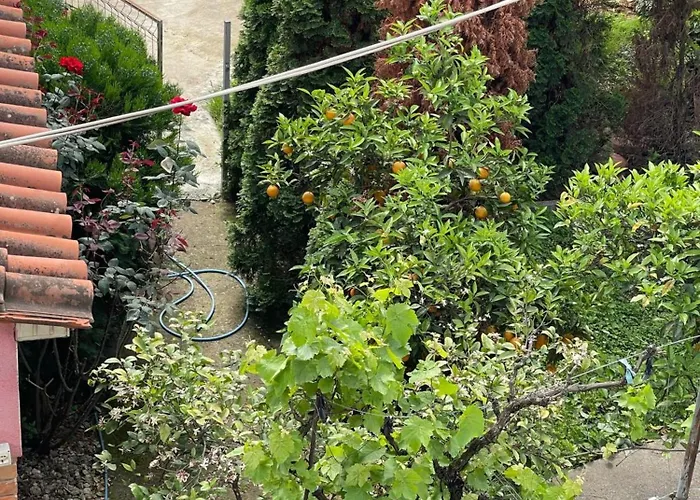 Kalpazo Rental Vila 313 Tirana Apartman *