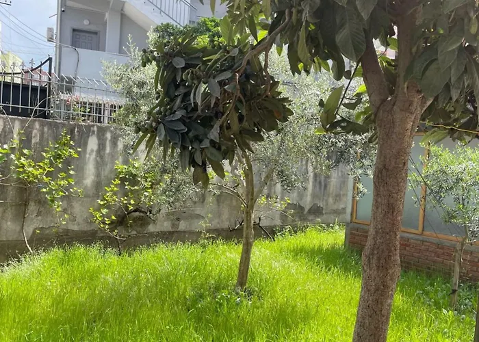 Kalpazo Rental Vila 313 Tirana Apartman